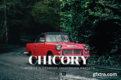 Chicory Mobile and Desktop Lightroom Presets