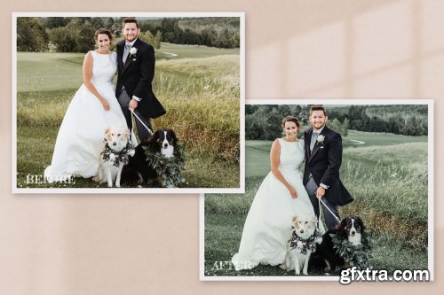 CreativeMarket - 10 Rustic Wedding Collection Preset 6193075