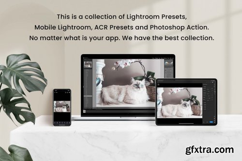 CreativeMarket - 15 Furry Friends Collection 6204182