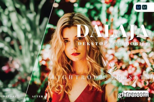 Dalaja Desktop and Mobile Lightroom Preset