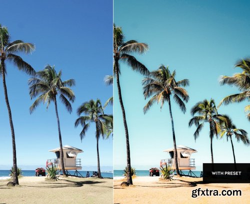 ARTA Miami Presets For Mobile and Desktop