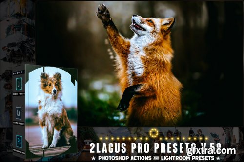 PRO Presets - V 58 - Photoshop & Lightroom