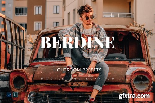 Berdine Lightroom Presets Dekstop and Mobile