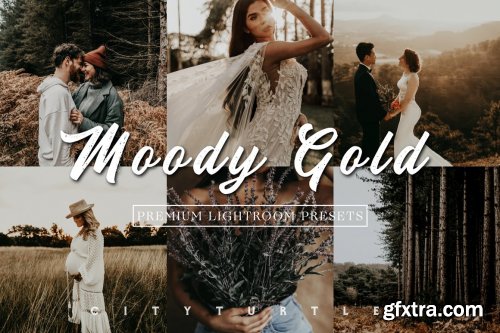 CreativeMarket - Moody Warm Lightroom Presets 5793322