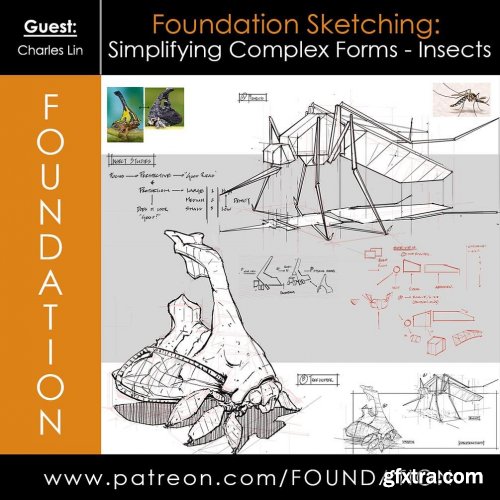 Foundation Patreon - Foundation Sketching: Simplifying Complex Forms - Insects with Charles Lin