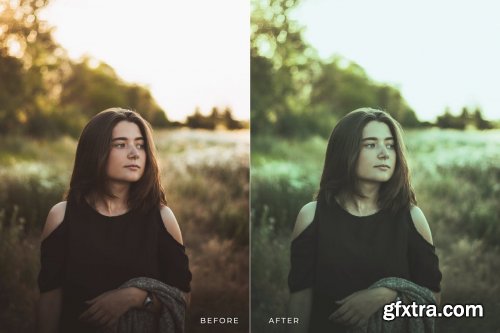 Tarnar Mobile and Desktop Lightroom Presets