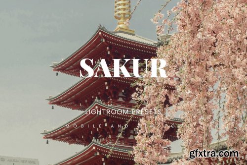 Sakur Lightroom Presets Dekstop and Mobile