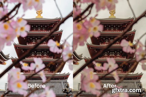 Sakur Lightroom Presets Dekstop and Mobile