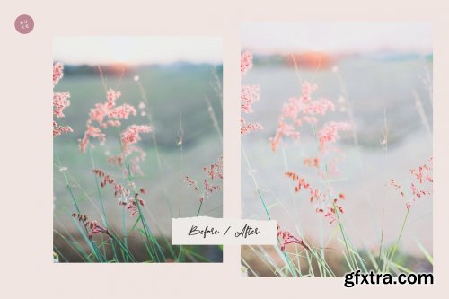 CreativeMarket - Sparkling Spring – 10 LR Presets 6079172