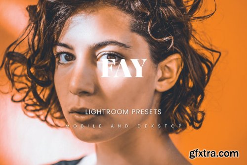 Fay Lightroom Presets Dekstop and Mobile