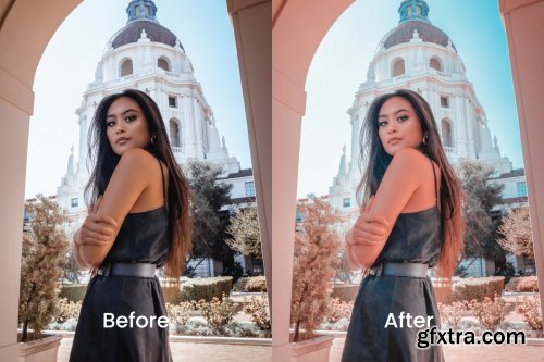 Ninis Lightroom Presets Dekstop and Mobile