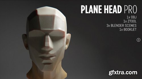 Artstation – Plane Head Pro Bundle: Model + PDF Booklet + Cheat Sheets