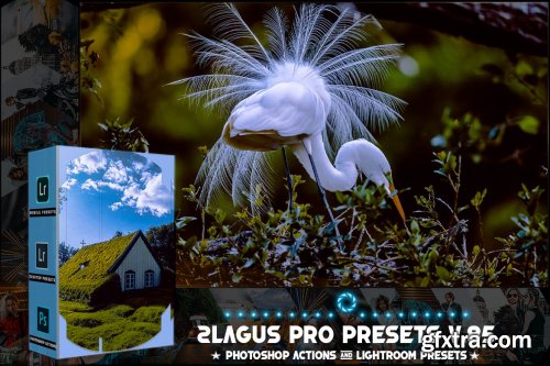 PRO Presets - V 85 - Photoshop & Lightroom