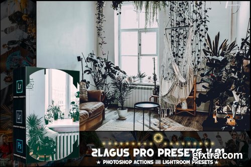 PRO Presets - V 81 - Photoshop & Lightroom