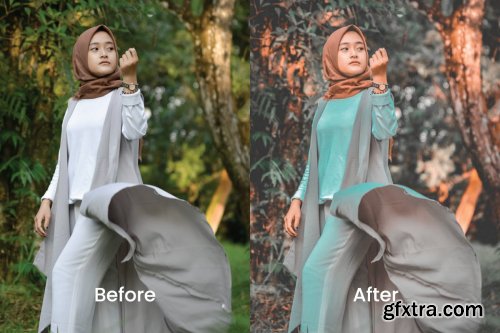 Alin Lightroom Presets Dekstop and Mobile