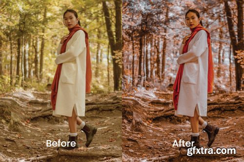 Indri Lightroom Presets Dekstop and Mobile