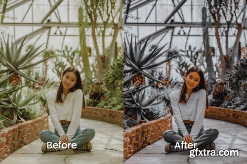 Indri Lightroom Presets Dekstop and Mobile