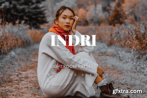 Indri Lightroom Presets Dekstop and Mobile