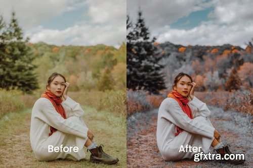 Indri Lightroom Presets Dekstop and Mobile