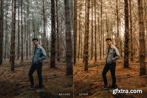 Aqilla Mobile and Desktop Lightroom Presets