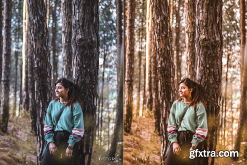 Aqilla Mobile and Desktop Lightroom Presets