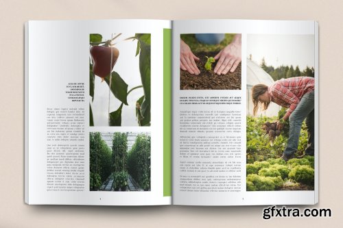 Organic Food Magazine Layout Set