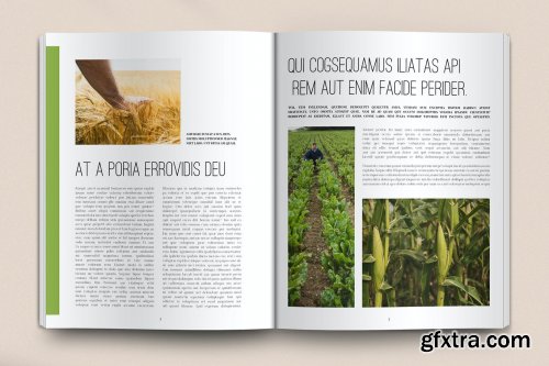 Organic Food Magazine Layout Set