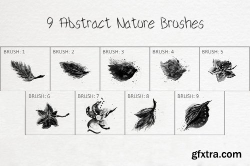 CreativeMarket - 9 Abstract Nature Photoshop Brushes 6258104