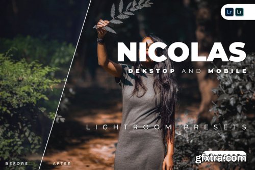 Nicolas Desktop and Mobile Lightroom Preset