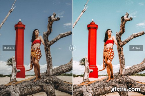 Voyage Mobile & Desktop Lightroom Presets