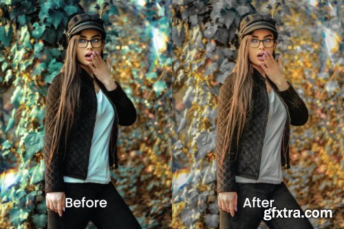 Wilona Lightroom Presets Dekstop and Mobile