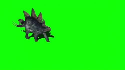 Videohive - Stegosaurus Dinosaur Walking On Green Screen 2 - 32872650 - 32872650