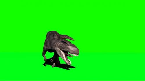 Videohive - Giganotosaurus Dinosaur Roaring On Green Screen 2 - 32891815 - 32891815