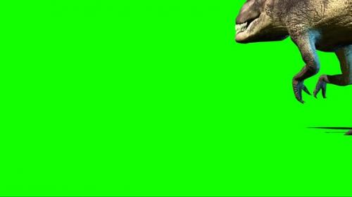 Videohive - Giganotosaurus Dinosaur Walking On Green Screen 91 - 32891823 - 32891823