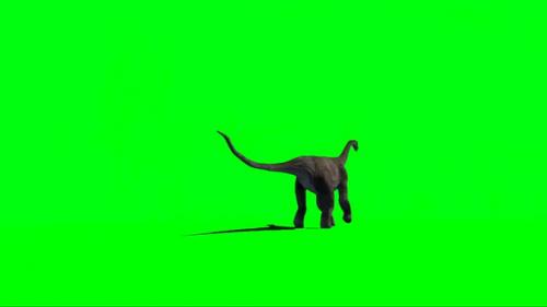 Videohive - Brachiosaurus Dinosaur Walking On Green Screen - 32891855 - 32891855