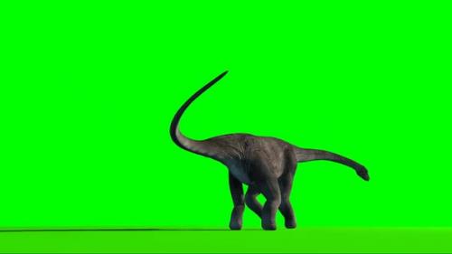 Videohive - Brachiosaurus Dinosaur Looking On Green Screen - 32891876 - 32891876