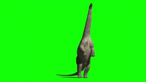 Videohive - Apatosaurus Dinosaur Eating On Green Screen 1 - 32892640 - 32892640