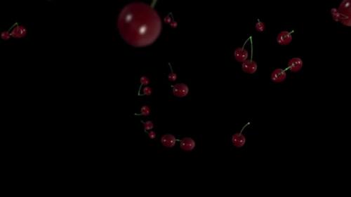 Videohive - Falling cherries on a black background 3D animation - 32912798 - 32912798