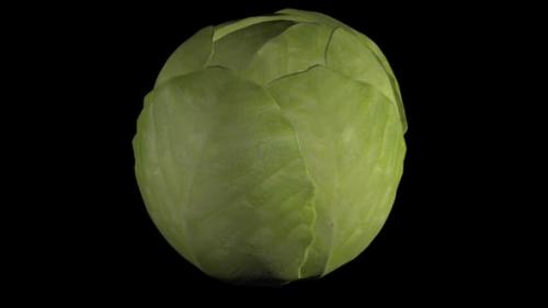 Videohive - Animation of spinning cabbage on a black background - 32912802 - 32912802