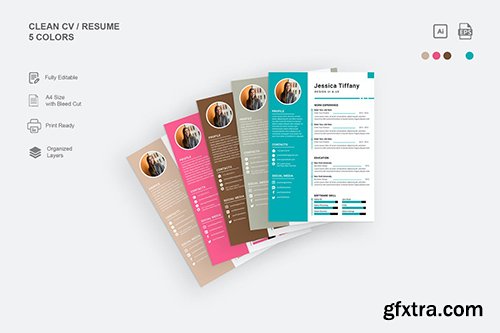 Resume Template 5 Colors 