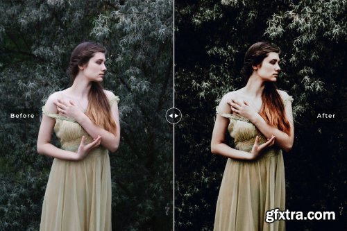 CreativeMarket - Dark & Moody Lightroom Presets 3976046