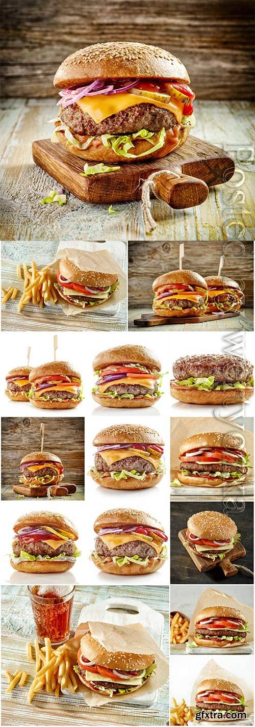 French fries and hamburgers stock photo