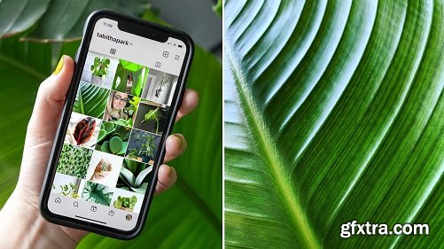 Plant Photography: Take Better Photos at Home for Instagram