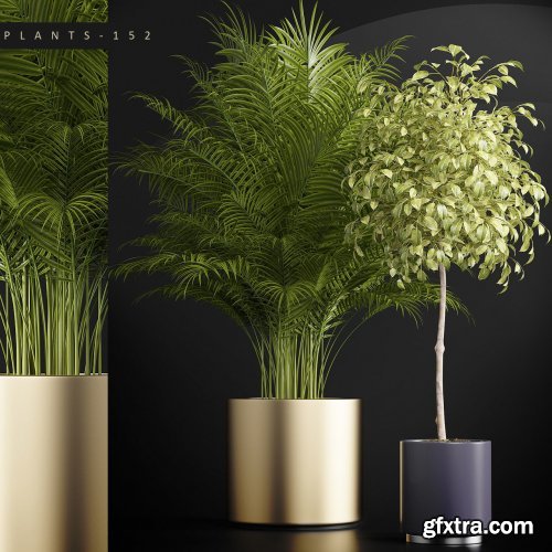 Plants set 152 3D model