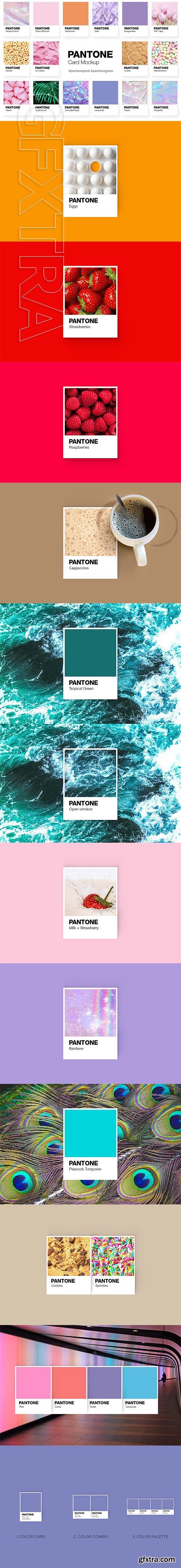 CreativeMarket - Pantone Color Cards Mockup 2155020