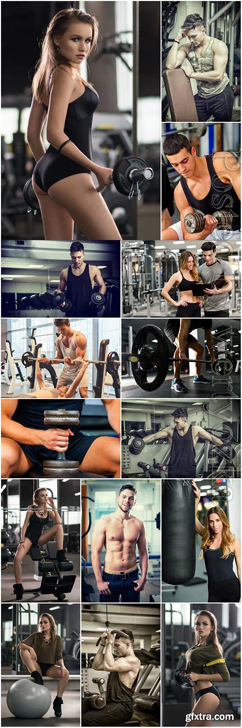 Men and girls in gym stock photo