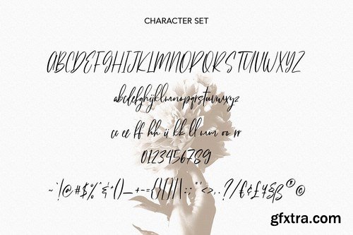 Fit Fleet Script Font