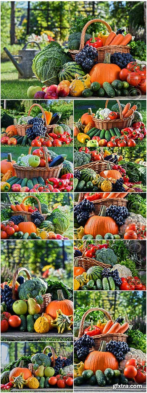 Baskets with fresh vegetables stock photo