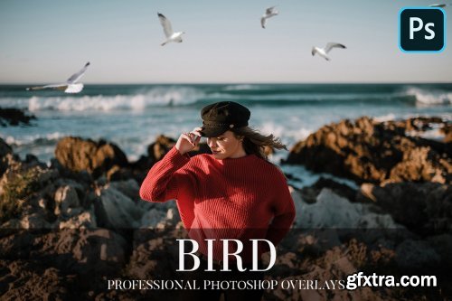 CreativeMarket - Bird Overlays Photoshop 4934539