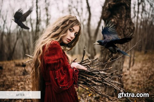 CreativeMarket - Bird Overlays Photoshop 4934539